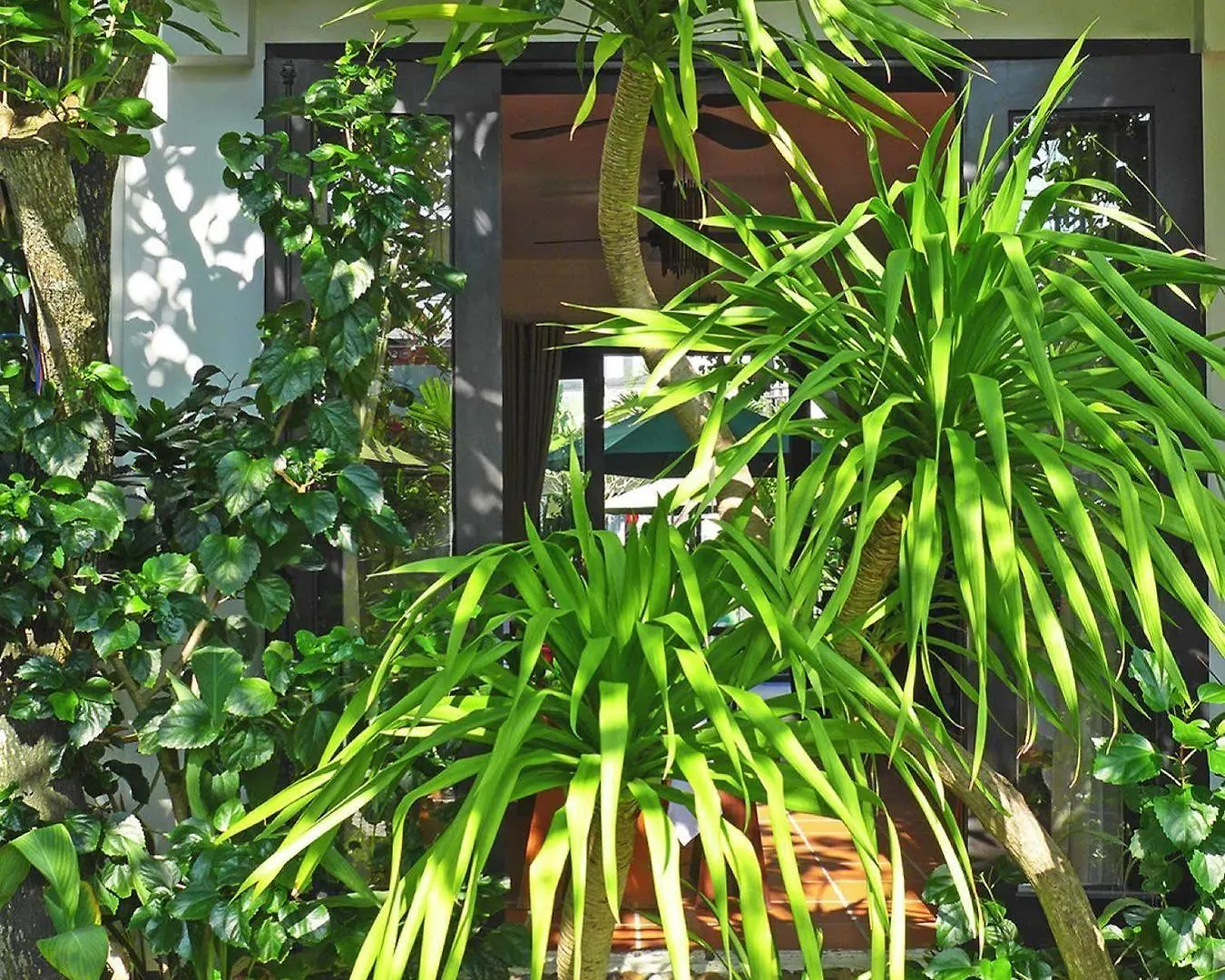 East West Villa Hoi An 0*,